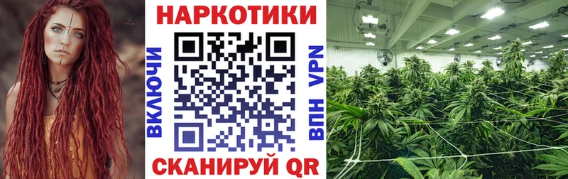 Как найти закладки Кинель Cocaine  МАРИХУАНА  Alpha PVP  Гашиш  Меф мяу мяу 
