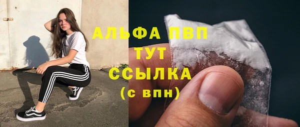 крисы Бронницы