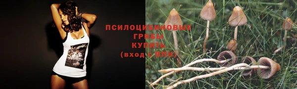 МДМА Бугульма
