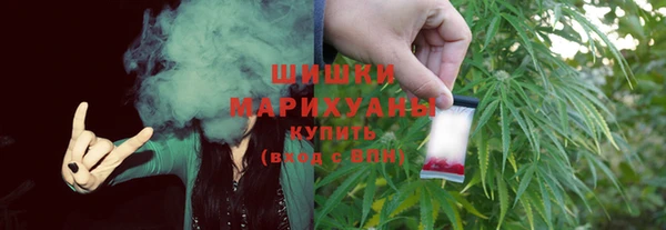 крисы Бронницы
