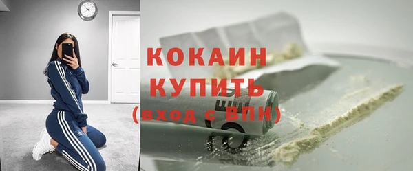 крисы Бронницы