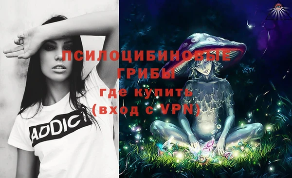 крисы Бронницы