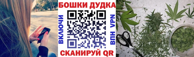 Бошки Шишки ГИДРОПОН Кинель